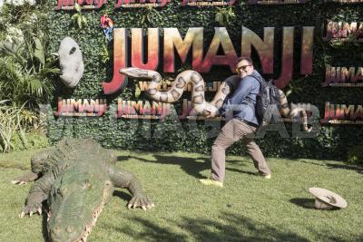 Выставка джуманджи. Джуманджи 1995 джунгли. Крокодил из Джуманджи. Джуманджи животные. Джуманджи Лев.