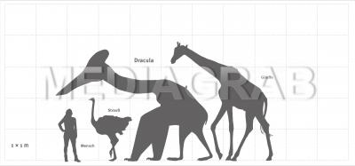 dracula pterosaur